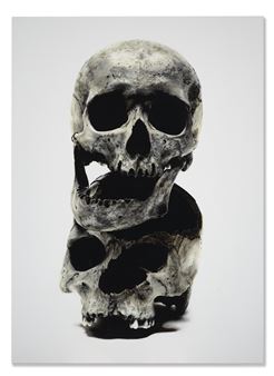 Two Skulls - David Bailey
