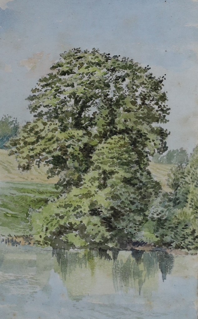 Clark Rampling | An oak by a pool Hatton Water | MutualArt