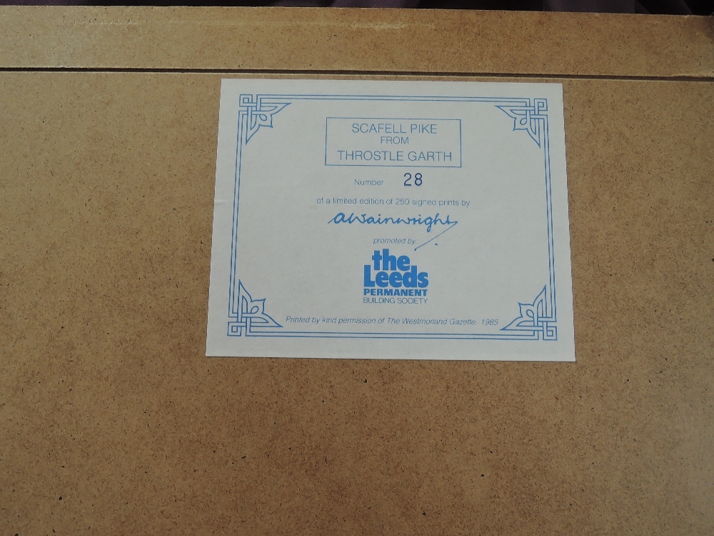 Alfred Wainwright Scafell Pike from Throstle Garth MutualArt