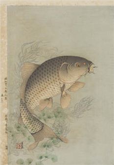 Carp - Atsuo Mitsui