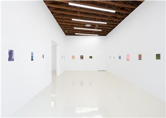 A Minor Constellation - Chris Sharp Gallery