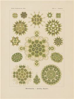 The Politics of the Air We Breathe