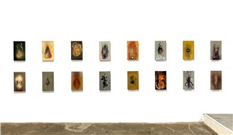 Installation view of Val Kilmer exhibition at PRJCTLA.