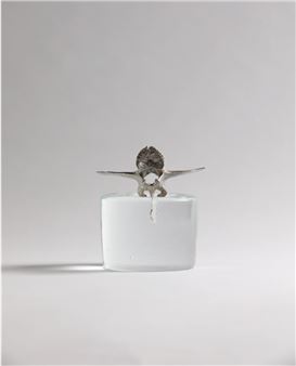 Ella Littwitz & Elena Mazzi: Correnti I - Animalia - Artopia