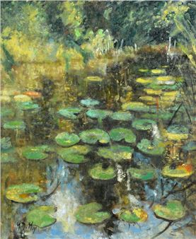 Waterlelies - Geert Meyer