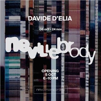 Davide D'Elia: Nevillebrooy - NM Contemporary