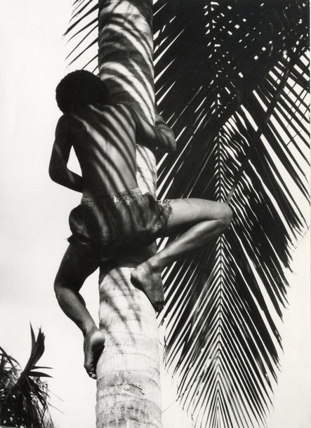 Child in the palm tree by Charles Ciccione