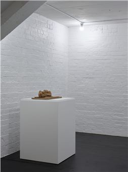 Hany Armanious: Tabula Rasa - Michael Lett (Karangahape Rd)