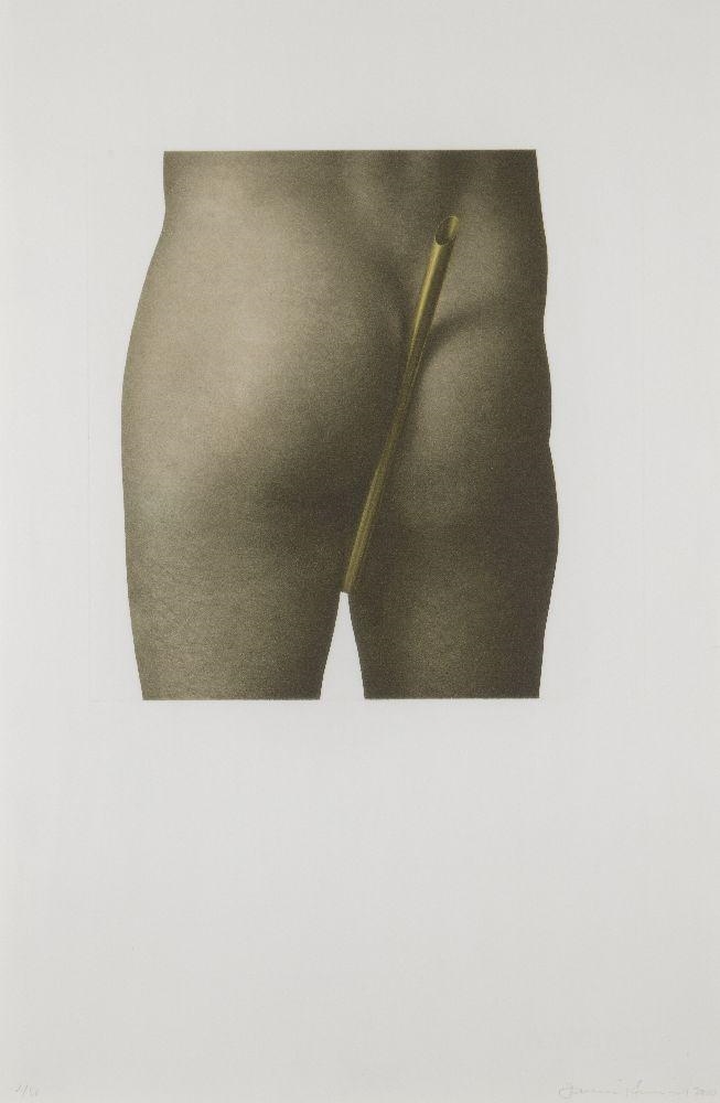Daniel Sinsel | Untitled (2010) | MutualArt