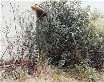 The Abbey of Thelma #2 - Joachim Koester