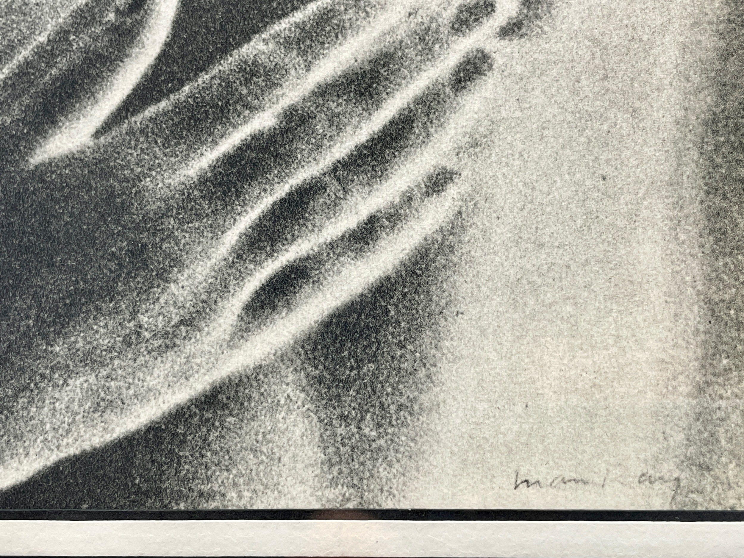 Man Ray | Solarized Portrait (1934) | MutualArt
