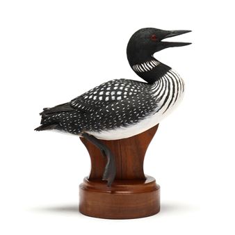Swimming Loon - Carl Huff
