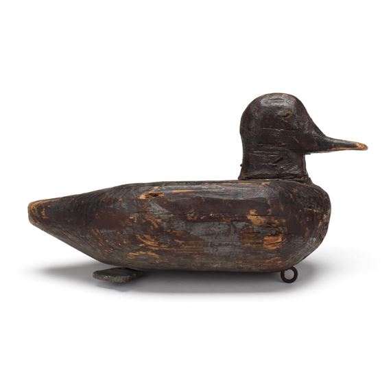 Blue Winged Teal - Benjamin Pugh