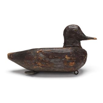 Blue Winged Teal - Benjamin Pugh