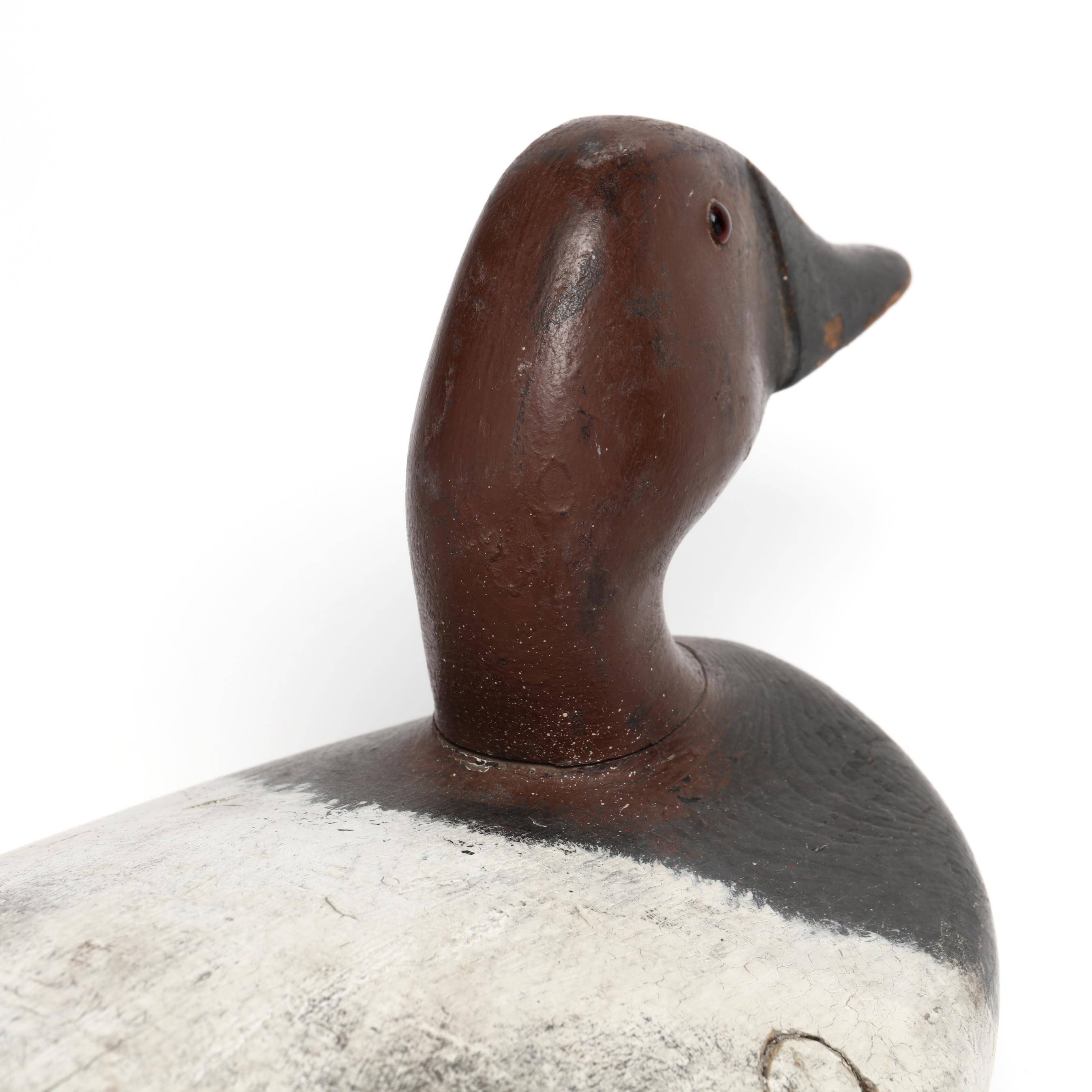 Artwork by Danny Scriven, Canvasback, Made of carved and painted wood