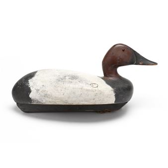Canvasback - Danny Scriven