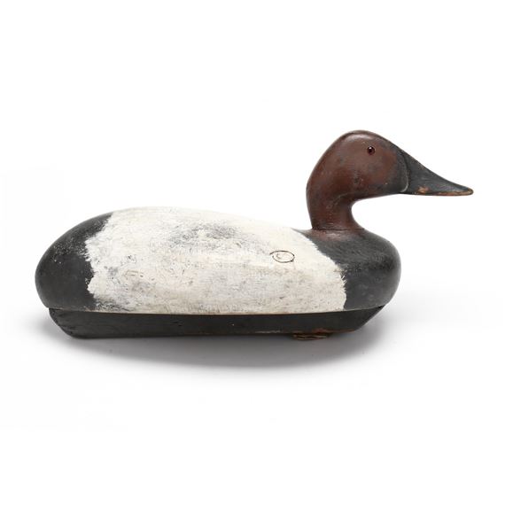 Canvasback - Danny Scriven