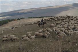  Georgian artist Tekla Aslanishvili presents 'A State in a State' at the Fundació Antoni Tàpies in Barcelona