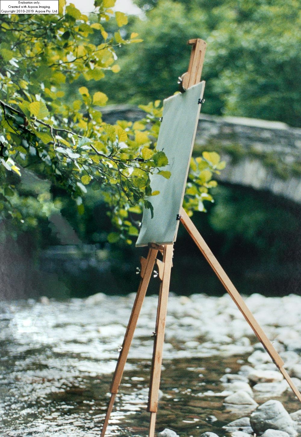 Tim Knowles Tree Drawing Alder on easel 2 MutualArt