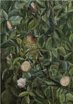 'Lilies' - Fanny Vallance