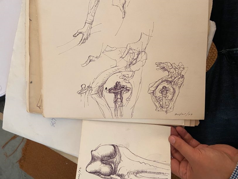 Leonardo Delfino | Set of drawings | MutualArt
