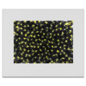 Work 84-F by Quac Insik, 1984