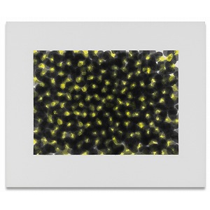 Artwork by Quac Insik, Work 84-F, Made of Ink on Japanese paper