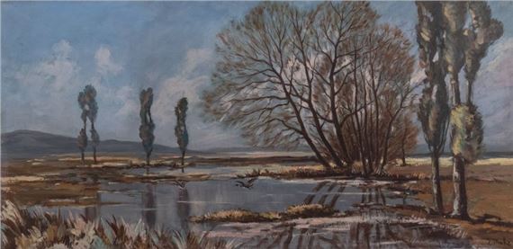 Envol de canards sur l’étang by J. Mahe