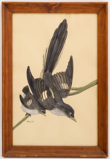 Artwork by Gasset-Ousset Hélène, Birds in the air, Made of Watercolor