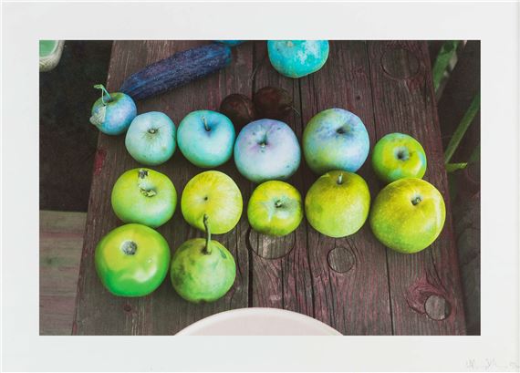 Camden Still Life by Wolfgang Tillmans, 2017