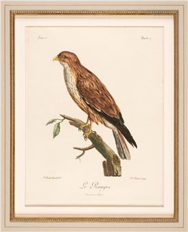 A mixed collection of approximately 35 prints - Oliver Preston