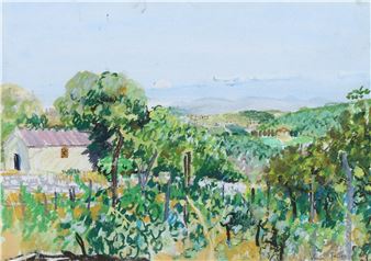 Vineyard and Tuscan View - Virginia Powel