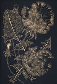 Margot Glass (American, 1965)