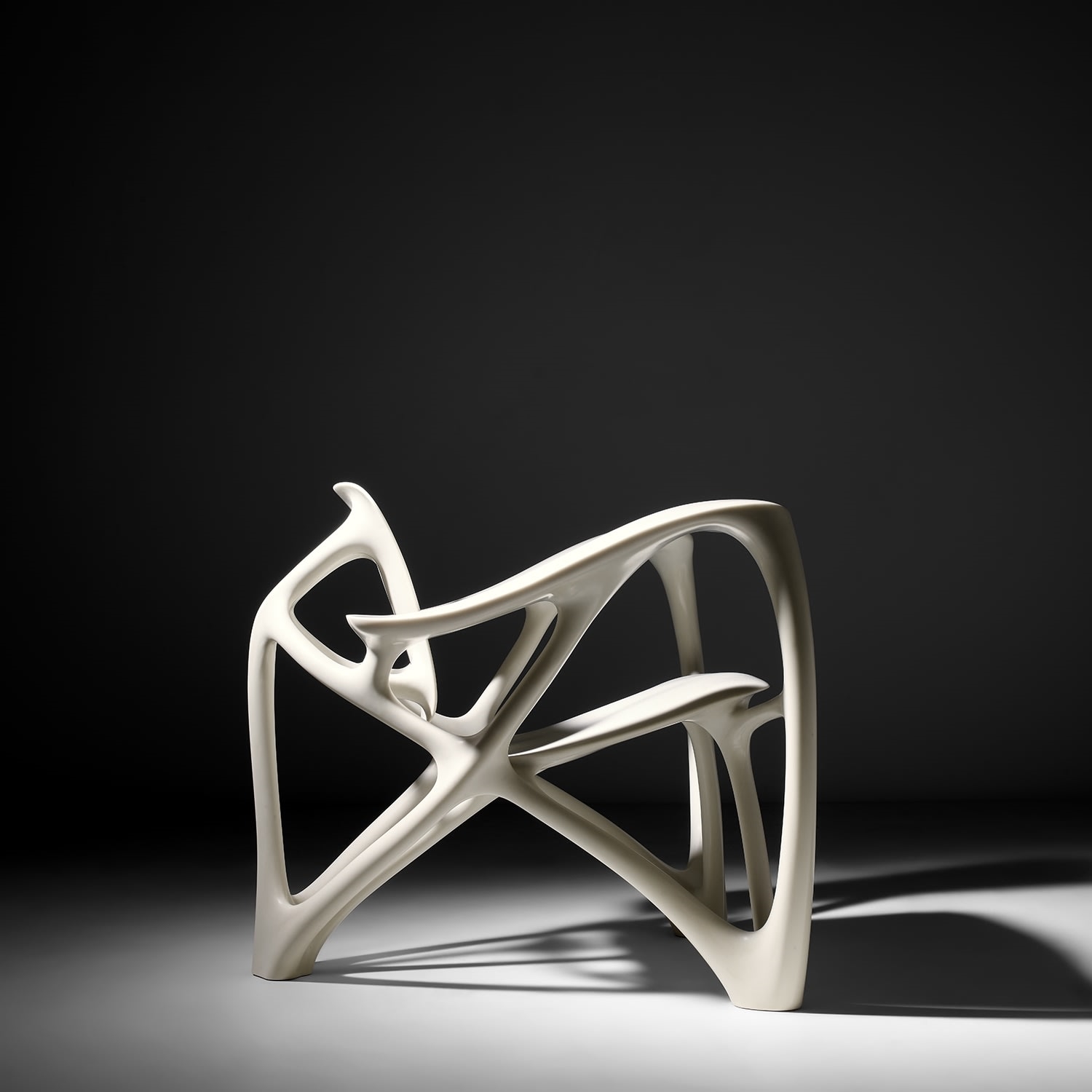 Joris Laarman | 'Bone' armchair (2007) | MutualArt