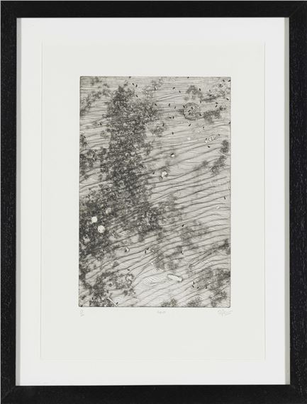Richard Penn | Field | MutualArt
