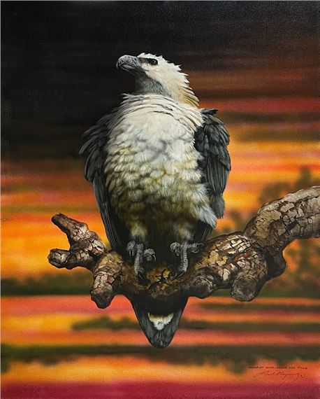 Paul Margocsy | Australian White Bellied Sea Eagle | MutualArt