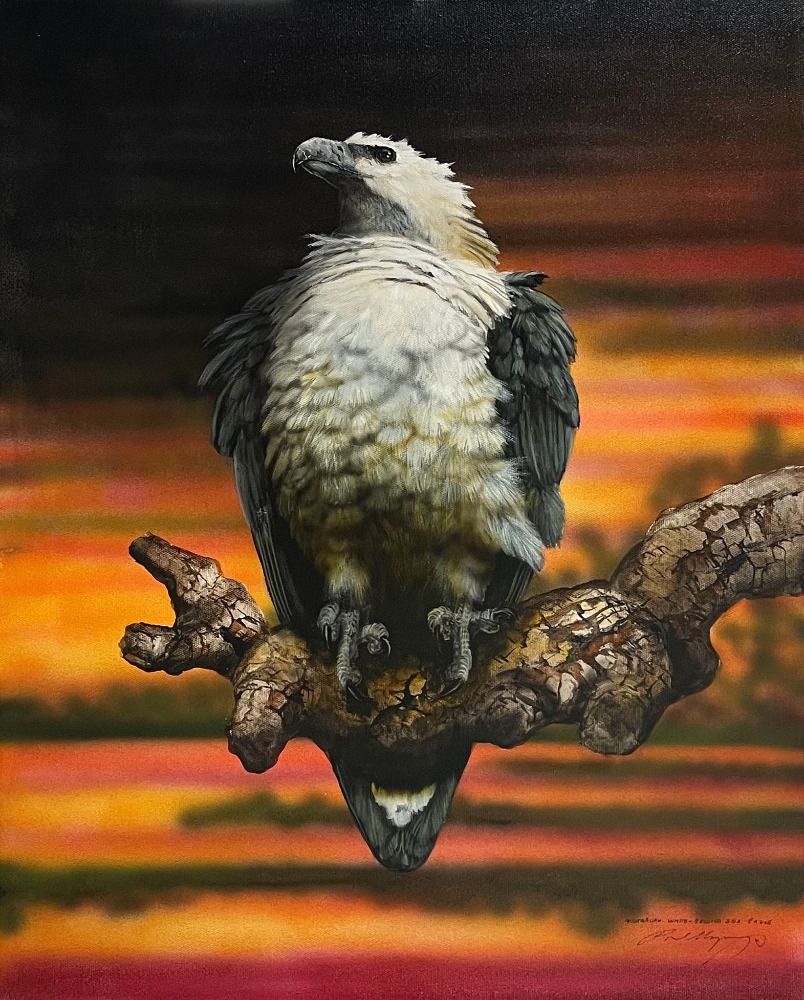 Paul Margocsy | Australian White Bellied Sea Eagle | MutualArt