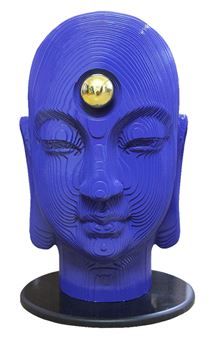 Indian Mother in Blue - Naman Mahipal