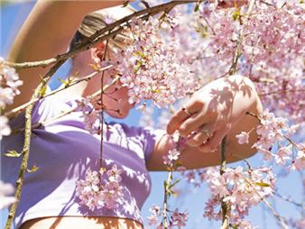 FFOCWS - Ffotogallery, Cardiff (Castle St)