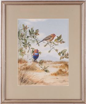 † Rena Fennessy (20th century) - Rena Fennessy