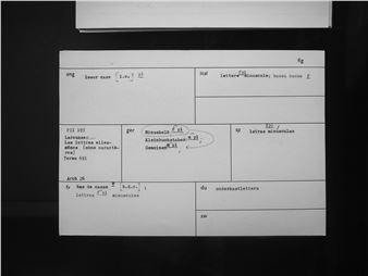 OK Computer: Languages Of Order - Sitterwerk - Kunstbibliothek Daniel Rohner