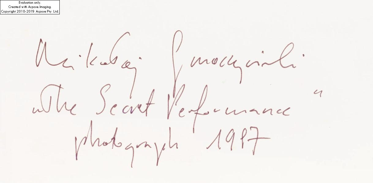 Mikołaj Smoczyński | The Secret Performance (1987) | MutualArt