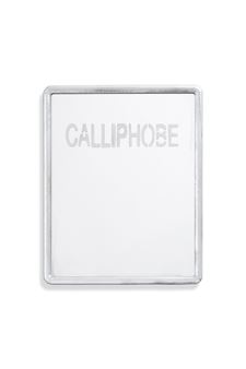 Jeanne SUSPLUGAS (1974) - Calliphobe - Jeanne Susplugas