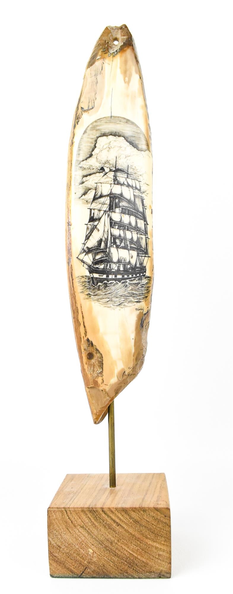 Peter Kinney | PETER KINNEY WALRUS TUSK SCRIMSHAW | MutualArt