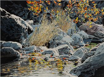 Hill Country Landscape - Herb Rather