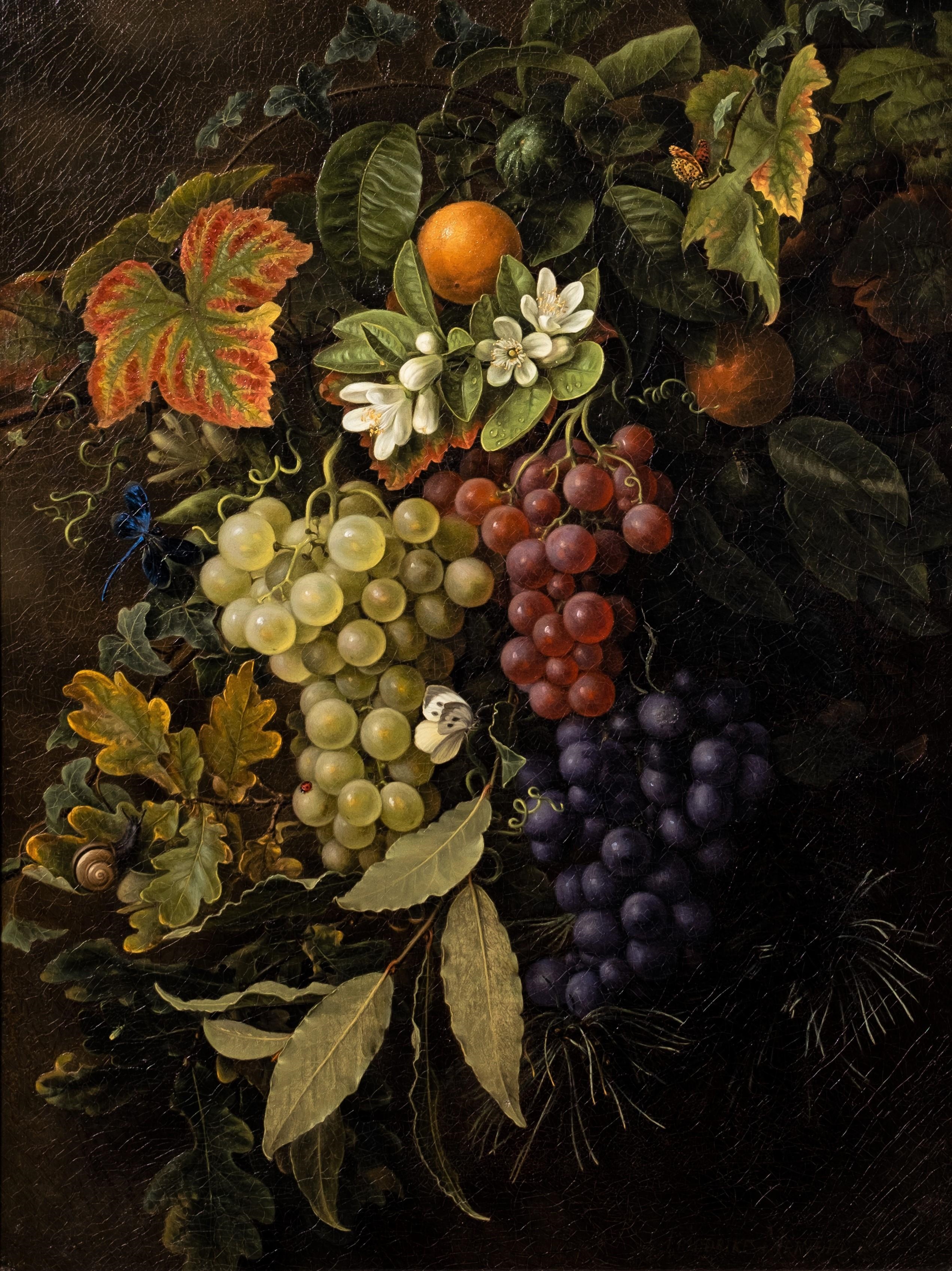 Artwork by Friedrike Meinert, A still life with grapes, oak leaves, oranges and a dragon fly, Made of oil on canvas