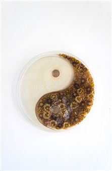 Resin and Yin and Yang - Gallery Target