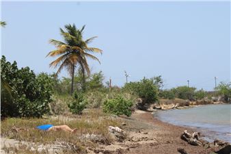 On the Coastlines of a Caribbean-yet-to-come - VisArts