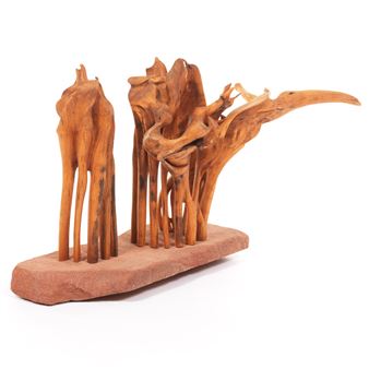 Teak Root Sculpture - Ray Muniak