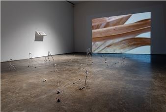 The Dissolution caus’d by Fire is in all Bodies - Smack Mellon